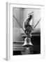 Monkey Sitting on a Durga Temple Bell, Varanasi, Uttar Pradesh, India, 1982-null-Framed Photographic Print