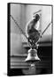 Monkey Sitting on a Durga Temple Bell, Varanasi, Uttar Pradesh, India, 1982-null-Framed Stretched Canvas