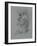 Monkey Sketch-Michael Jackson-Framed Giclee Print