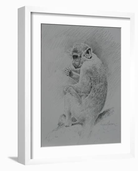 Monkey Sketch-Michael Jackson-Framed Giclee Print