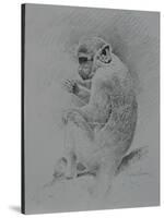 Monkey Sketch-Michael Jackson-Stretched Canvas