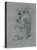 Monkey Sketch-Michael Jackson-Stretched Canvas