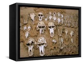 Monkey Skulls Embedded in Mud Wall to Protect Against Evil Spirits, Dogon Village of Telle, Africa-Jane Sweeney-Framed Stretched Canvas