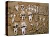 Monkey Skulls Embedded in Mud Wall to Protect Against Evil Spirits, Dogon Village of Telle, Africa-Jane Sweeney-Stretched Canvas