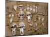 Monkey Skulls Embedded in Mud Wall to Protect Against Evil Spirits, Dogon Village of Telle, Africa-Jane Sweeney-Mounted Photographic Print