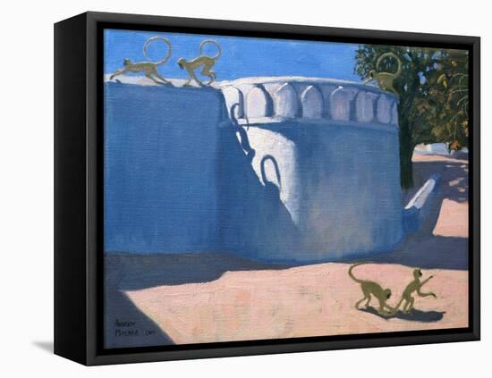 Monkey Temple, India, 2000-Andrew Macara-Framed Stretched Canvas