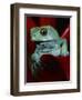 Monkey Tree Frog-David Northcott-Framed Photographic Print