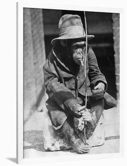 Monkey Wearing Jacket Smoking Cigarette-null-Framed Photographic Print