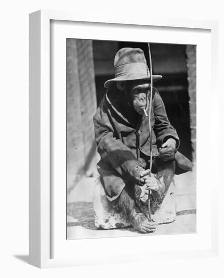 Monkey Wearing Jacket Smoking Cigarette-null-Framed Photographic Print