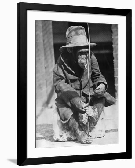 Monkey Wearing Jacket Smoking Cigarette-null-Framed Photographic Print