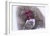 Monkey-null-Framed Photographic Print