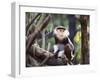 Monkey-WizData-Framed Photographic Print