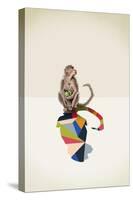 Monkey-Jason Ratliff-Stretched Canvas