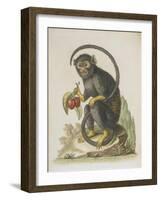 Monkey-null-Framed Giclee Print