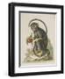 Monkey-null-Framed Giclee Print