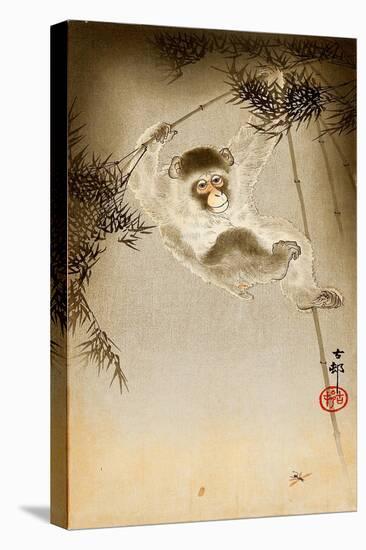 Monkey-Koson Ohara-Stretched Canvas