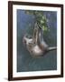 Monkey-Michael Jackson-Framed Giclee Print