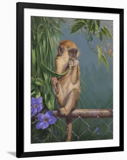 Monkey-Michael Jackson-Framed Giclee Print