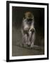 Monkey-Michael Jackson-Framed Giclee Print