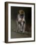 Monkey-Michael Jackson-Framed Giclee Print