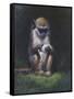 Monkey-Michael Jackson-Framed Stretched Canvas