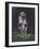 Monkey-Michael Jackson-Framed Giclee Print