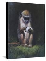 Monkey-Michael Jackson-Stretched Canvas