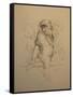 Monkey-Michael Jackson-Framed Stretched Canvas