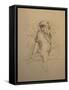 Monkey-Michael Jackson-Framed Stretched Canvas