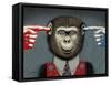 Monkey-Anthony Freda-Framed Stretched Canvas