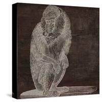 Monkey-null-Stretched Canvas