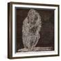 Monkey-null-Framed Premium Giclee Print