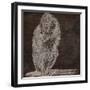 Monkey-null-Framed Premium Giclee Print