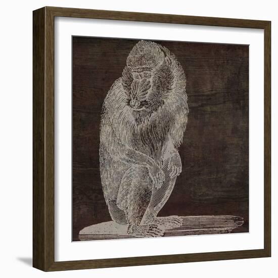 Monkey-null-Framed Giclee Print