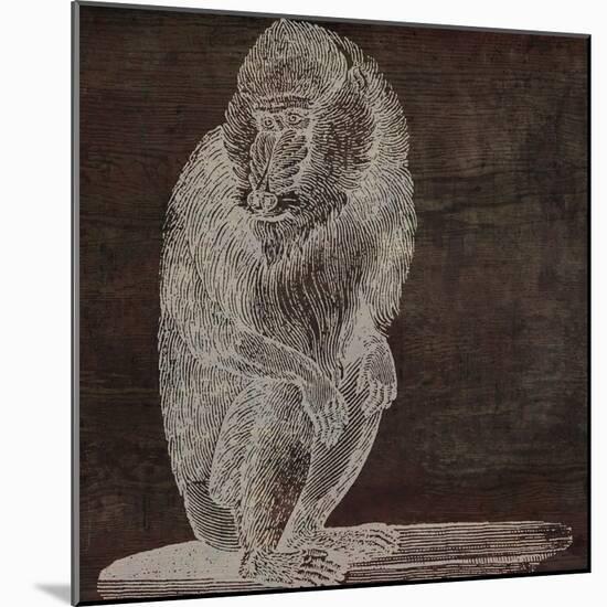 Monkey-null-Mounted Giclee Print