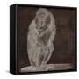 Monkey-null-Framed Stretched Canvas