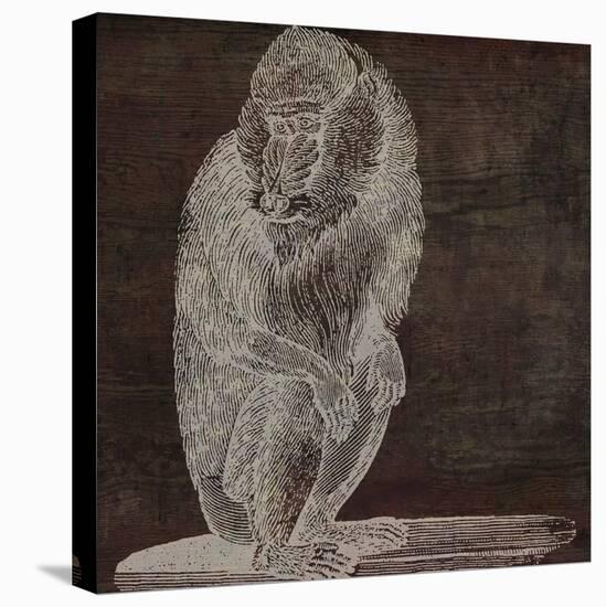 Monkey-null-Stretched Canvas