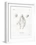 Monkey-null-Framed Giclee Print