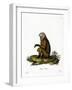 Monkey-null-Framed Giclee Print