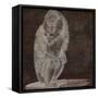 Monkey-Sasha-Framed Stretched Canvas