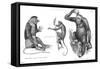 Monkeys and Gorilla-null-Framed Stretched Canvas