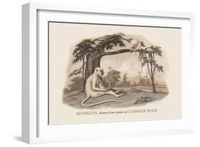 Monkeys at Cubbeer Burr-Baron De Montalemert-Framed Premium Giclee Print