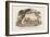 Monkeys at Cubbeer Burr-Baron De Montalemert-Framed Art Print