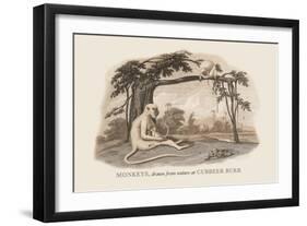 Monkeys at Cubbeer Burr-Baron De Montalemert-Framed Art Print