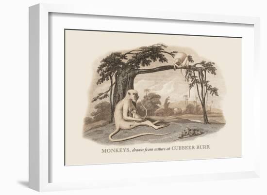 Monkeys at Cubbeer Burr-Baron De Montalemert-Framed Art Print