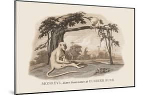 Monkeys at Cubbeer Burr-Baron De Montalemert-Mounted Art Print