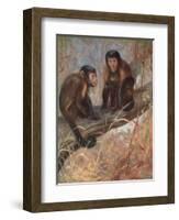 Monkeys, Capuchins, Swan-Cuthbert Swan-Framed Art Print