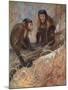 Monkeys, Capuchins, Swan-Cuthbert Swan-Mounted Art Print