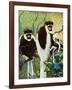 Monkeys - Child Life-Jack Murray-Framed Giclee Print