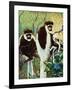 Monkeys - Child Life-Jack Murray-Framed Giclee Print